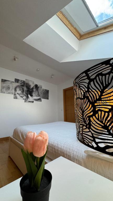 Postel nebo postele na pokoji v ubytování Apartamentos Suites Olmedo
