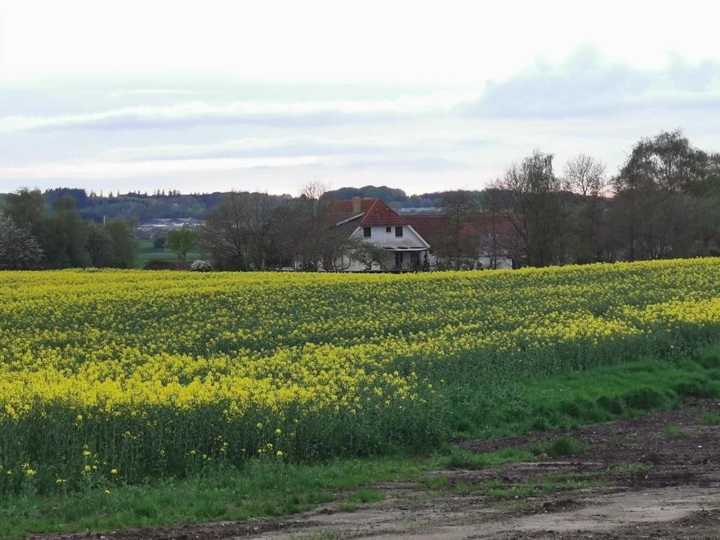 Příroda nedaleko apartmánu