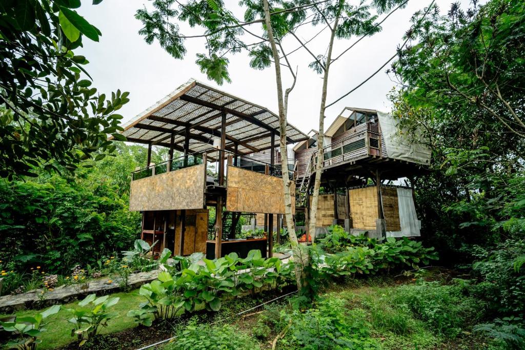 Zahrada ubytování Nirata Treehouse