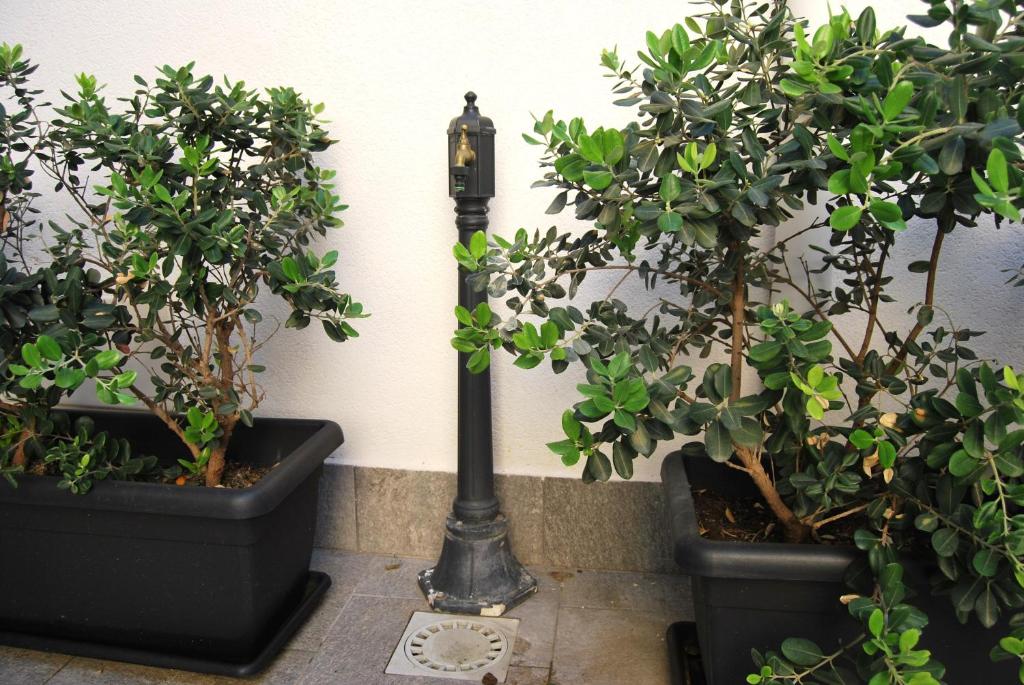 A garden outside Rosato Suites 2 - Appartamento moderno e confortevole con spazio esterno tra Mondello e il centro storico