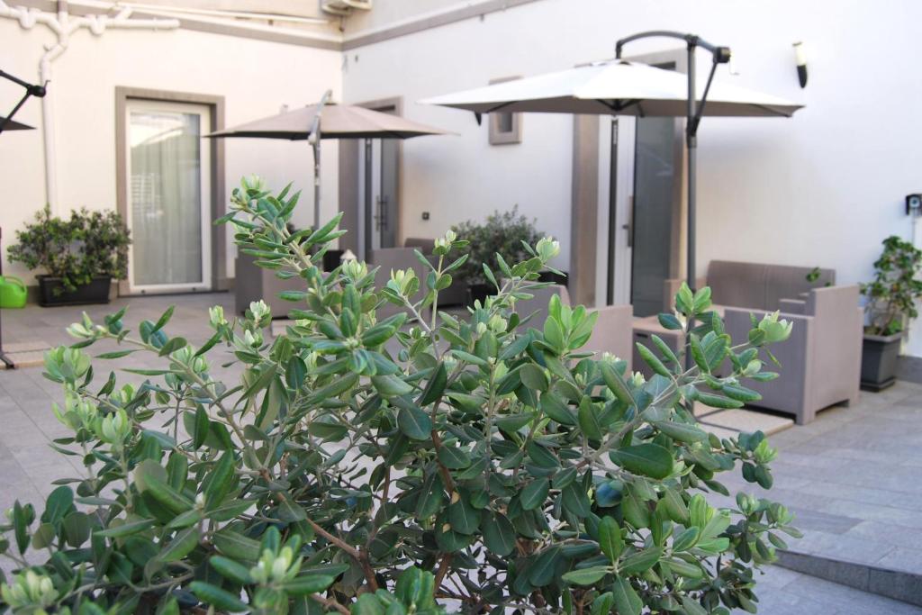 A garden outside Rosato Suites 2 - Appartamento moderno e confortevole con spazio esterno tra Mondello e il centro storico