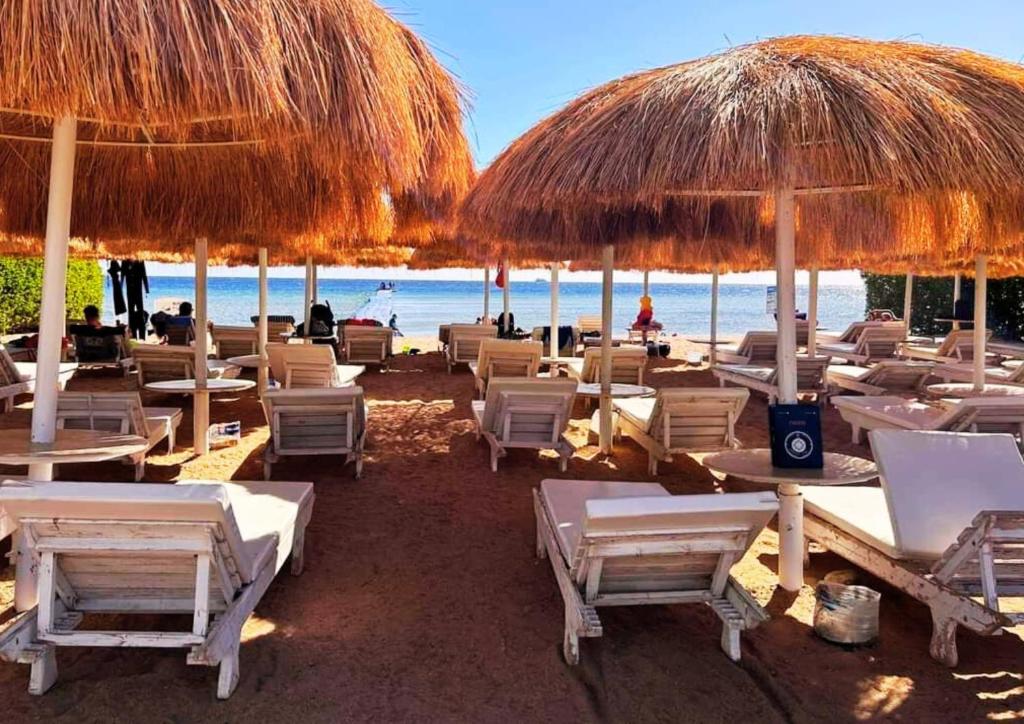 Fotografie z fotogalerie ubytování Sharm Hills Resort v destinaci Sharm El Sheikh