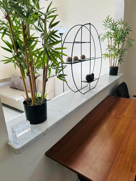 une table avec des plantes en pot sur une étagère dans l'établissement Appartement confortable, à Nice