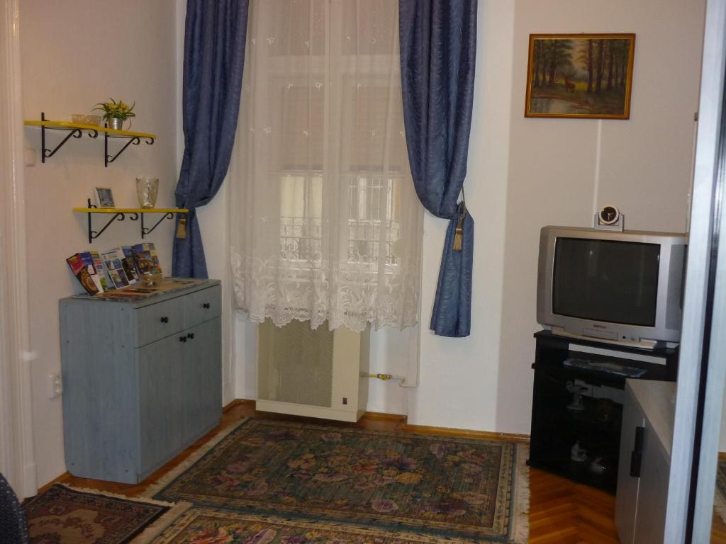Televízia a/alebo spoločenská miestnosť v ubytovaní Joe Apartman Budapest
