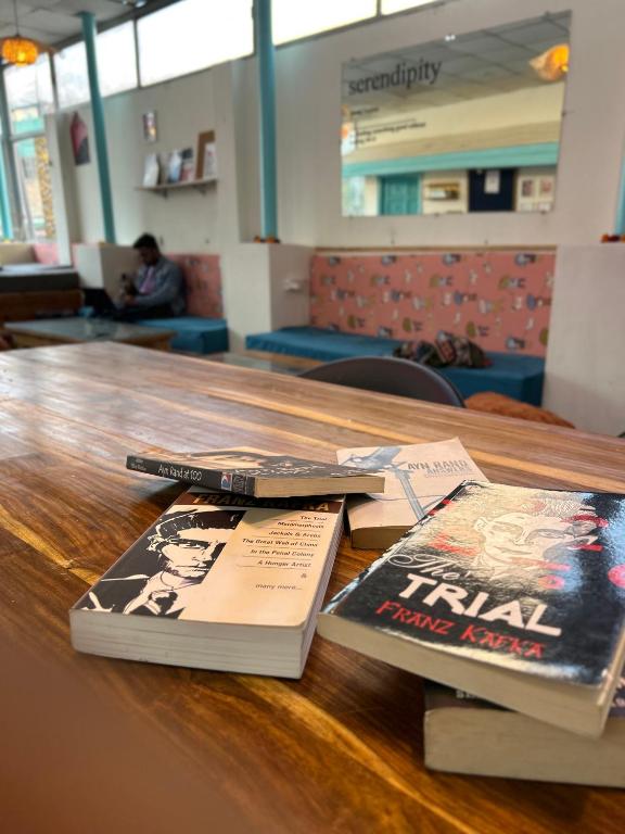Galeriebild der Unterkunft Serendipity Hostel & Cats Cafe in Rishikesh