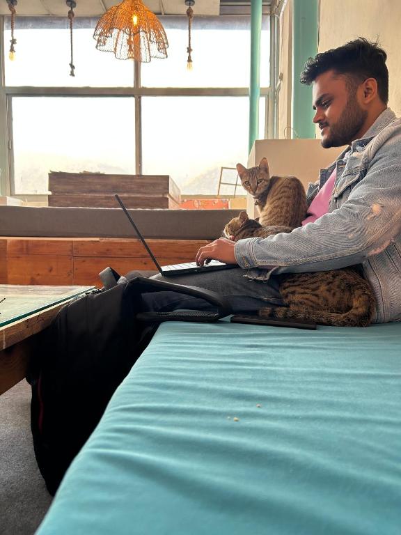 Gäste, die in der Unterkunft Serendipity Hostel & Cats Cafe übernachten
