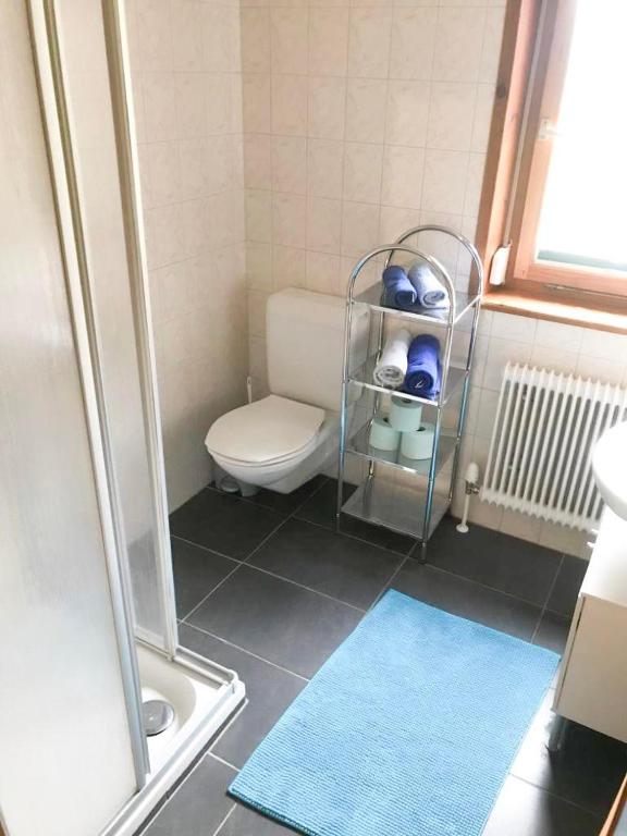 Koupelna v ubytování Haus Elvira
