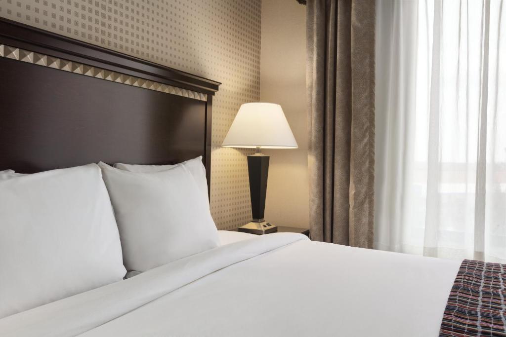 University Hotel Davis Area - 特大床套房