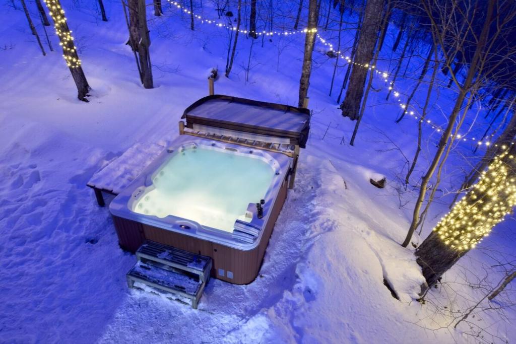 Log cabin with HOT TUB and view v zimě