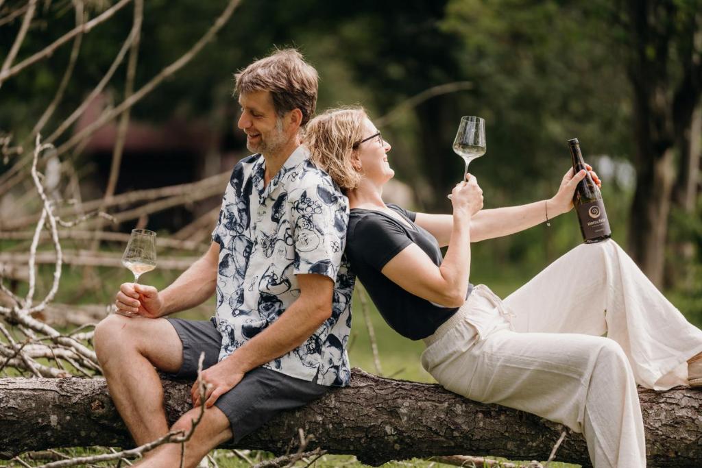 Hosté ubytování Monschein Weingut Straden