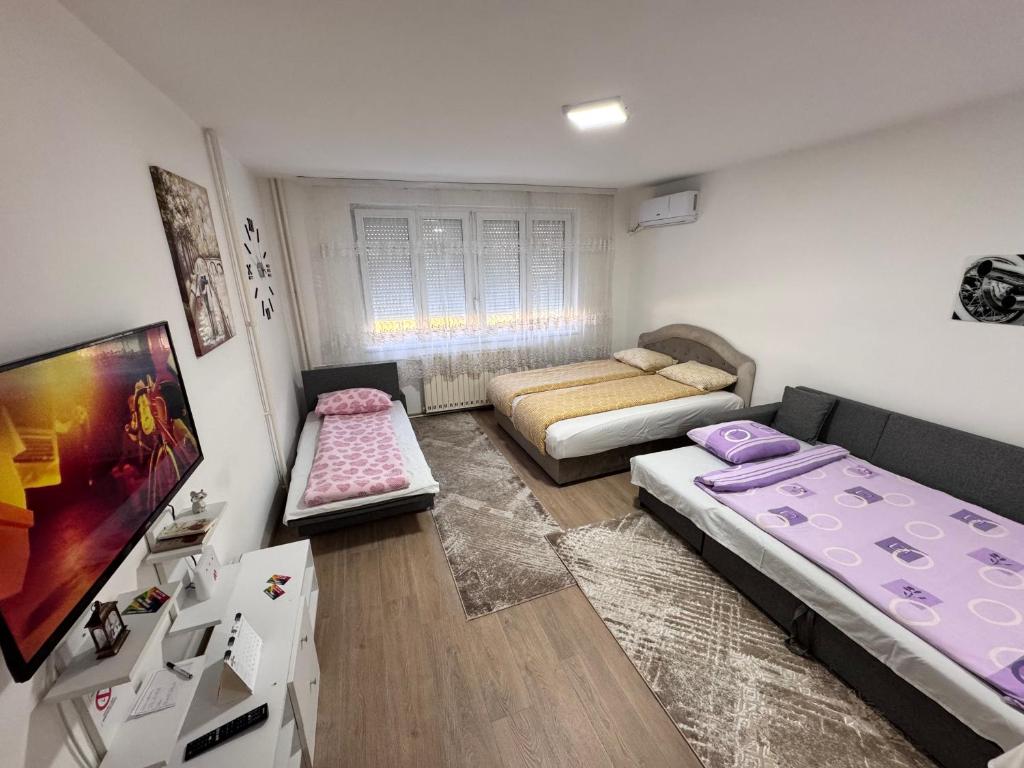 TV a/nebo společenská místnost v ubytování Apartman Panda Priboj