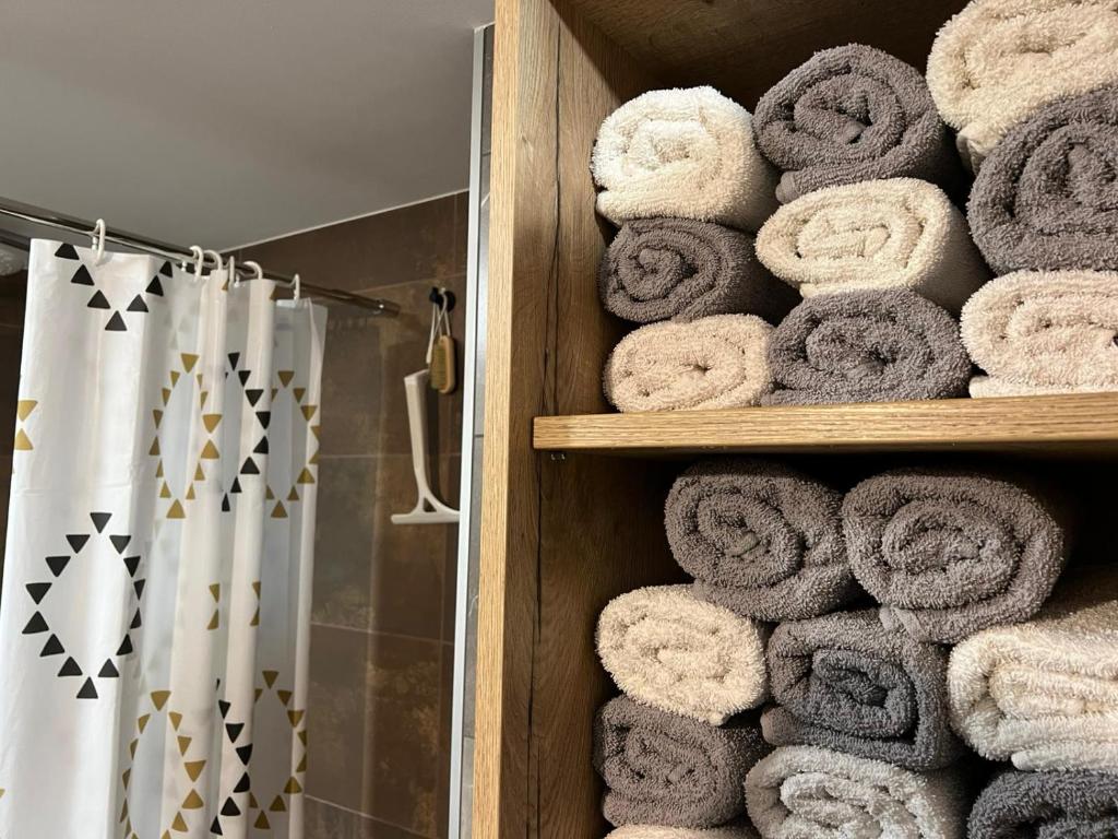 Koupelna v ubytování Apartma - Hiša Zofija