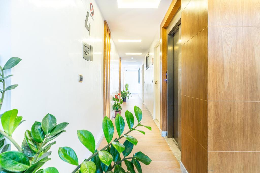 Fotografie z fotogalerie ubytování Hot appar Luxury SuiteMar v destinaci Mʼdik