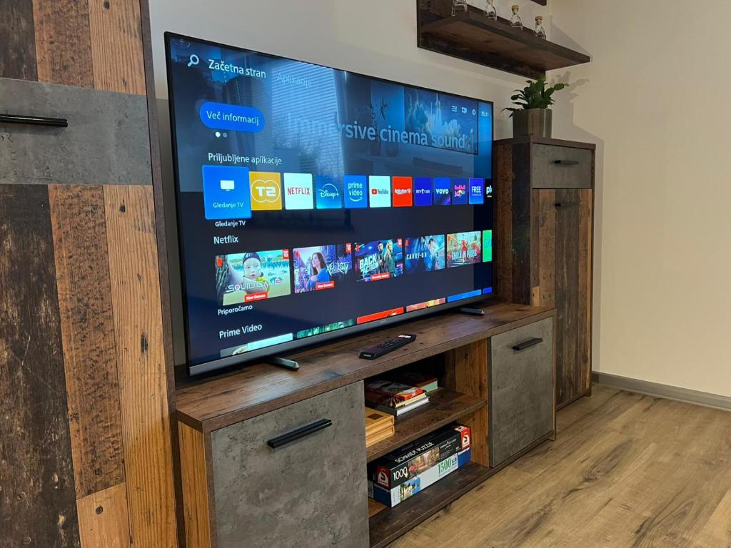 TV a/nebo společenská místnost v ubytování Apartma - Hiša Zofija