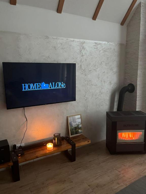 Televisyen dan/atau pusat hiburan di VILA ANÐELIJA Zaovine