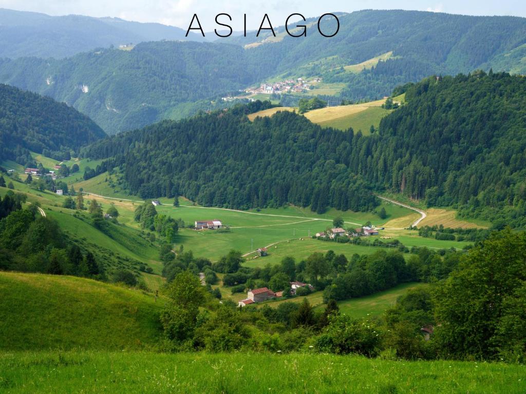 Příroda nedaleko apartmánu