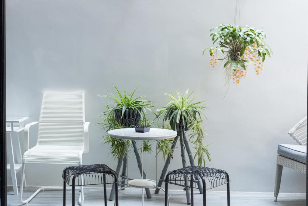 White Ivory Bed And Breakfast - Resim 9