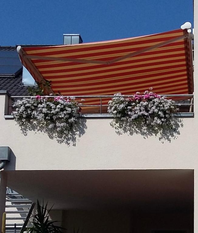 Balkón nebo terasa v ubytování Apartment Salvete