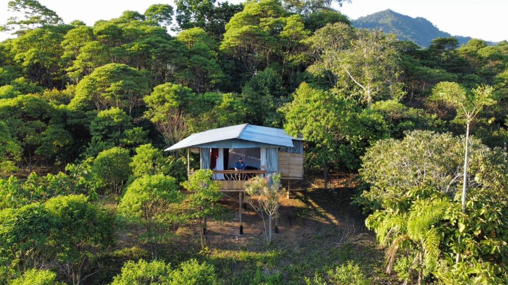 a small cabin in the middle of a forest at Cabañas Mi Bello Atardecer in San José del Fragua