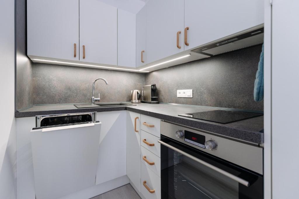 Kuchyň nebo kuchyňský kout v ubytování Apartmán 12 - Rezidence K Lanovce