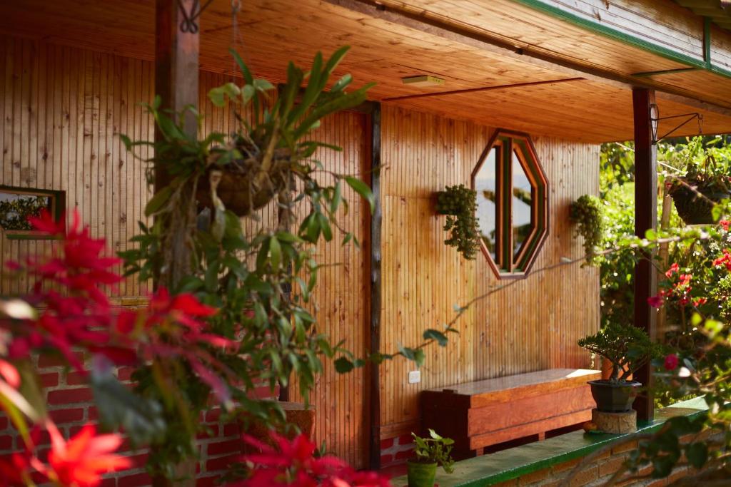 Zahrada ubytování Tesorito House en las Montañas del Quindío