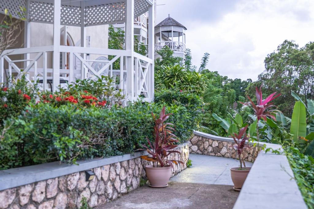 Zahrada ubytování Hummingbird Retreat - Luxury Oceanview Apt, 7-Minute Walk to Beach