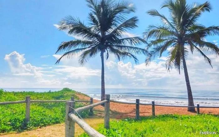 two palm trees on a beach near the ocean at Jacaraipe ES -Lar de Praia casa temporada in Jacaraípe