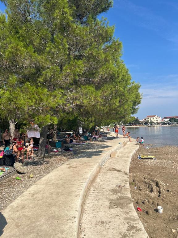 Príroda v okolí apartmánu