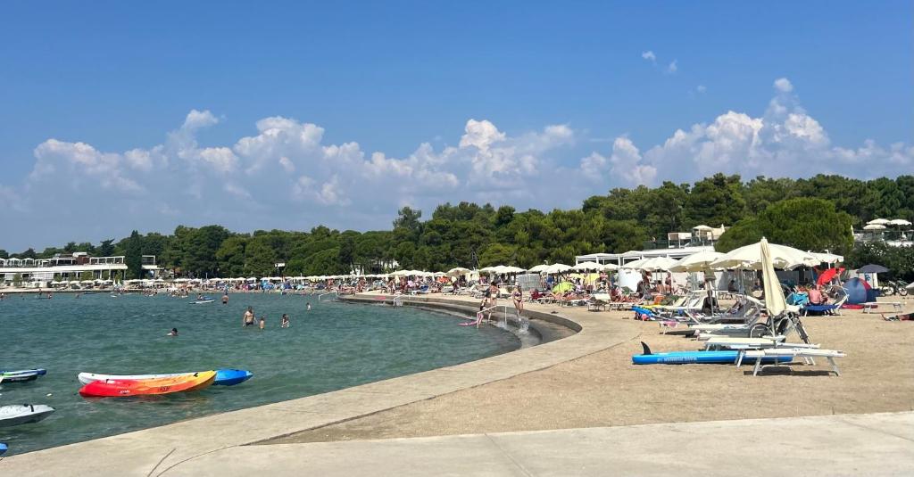 Príroda v okolí apartmánu