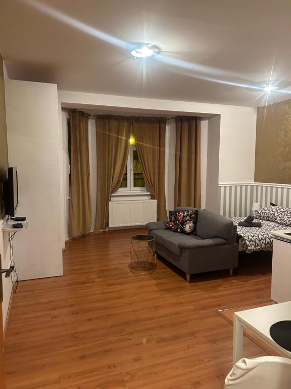 Televízia a/alebo spoločenská miestnosť v ubytovaní De luxe 4 May Plaza