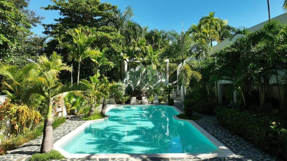 a swimming pool in a yard with palm trees at ProCab Kaya Apartments Cabarete in Cabarete