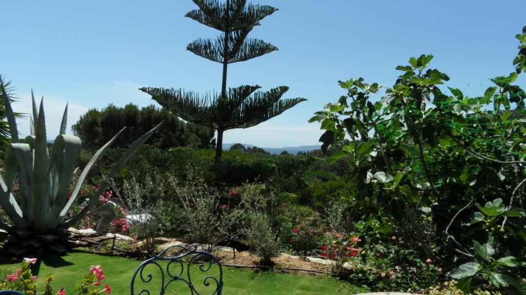un banco en un jardín con plantas y árboles en Villa Carpe Diem, en Le Lavandou