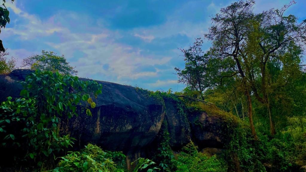Paesaggio naturale nelle vicinanze della stanza in casa privata