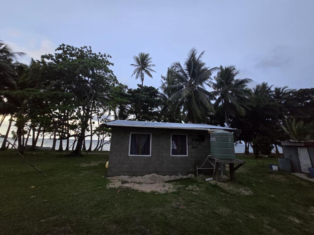 a small shack in a field with palm trees at Mumma Loii's Fijian Village Homestay in Malevu