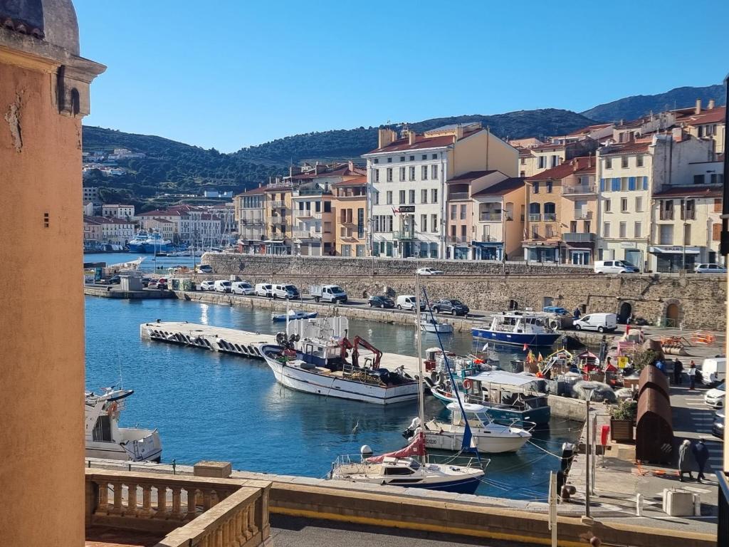 a group of boats are docked in a harbor at Port-Vendres - Appartement F3 avec parking et WIFI - FR-1-309-241 in Port-Vendres