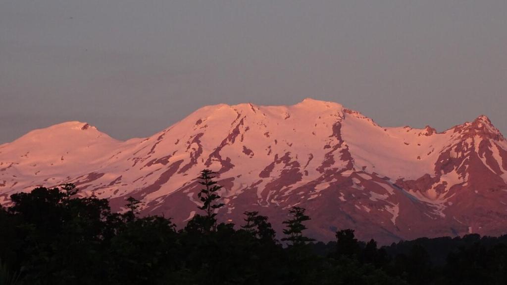 Mountain View Apartments - Resim 18