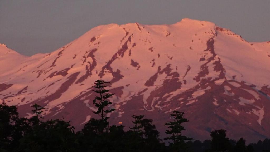 Mountain View Apartments - Resim 17