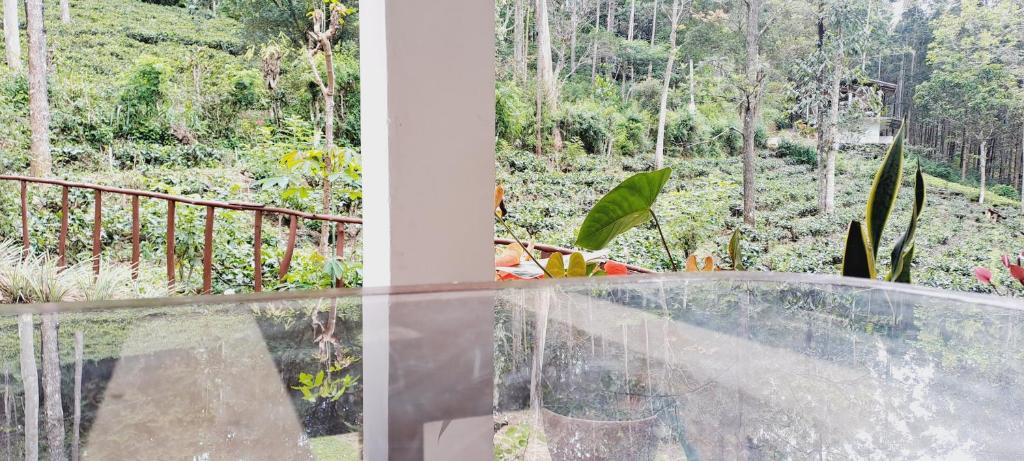 a view of a forest from a glass balcony at New Relax Inn Ella in Ella
