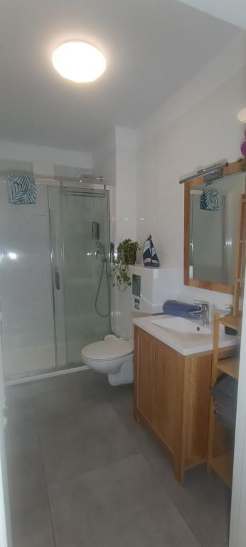 a bathroom with a shower and a toilet and a sink at BelMare 424 in Międzyzdroje