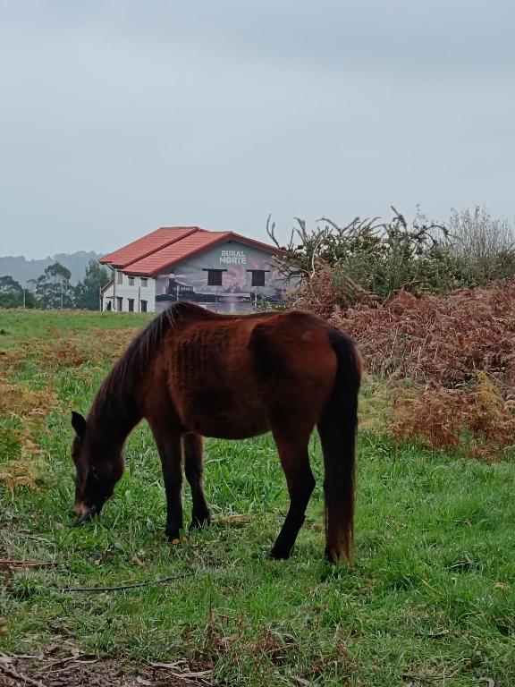 Zvířata v prázdninového domu nebo okolí