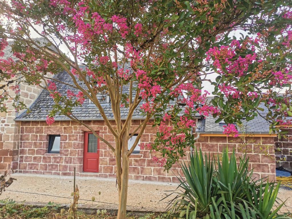 un arbre aux fleurs roses devant un bâtiment dans l'établissement Gite Le Fournil, à Saint-Pantaléon-de-Larche