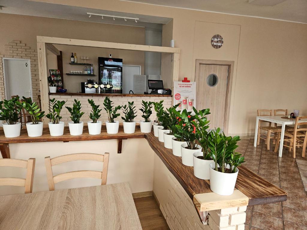 Restaurace v ubytování Hotel Prim