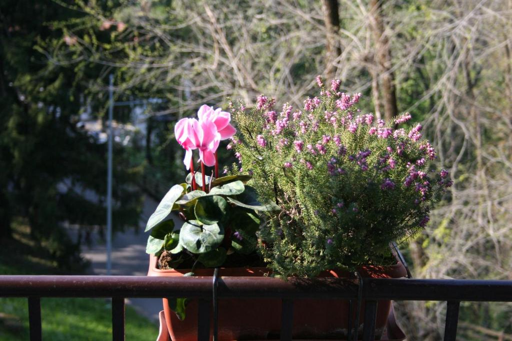 Zahrada ubytování B&B I Ghiri