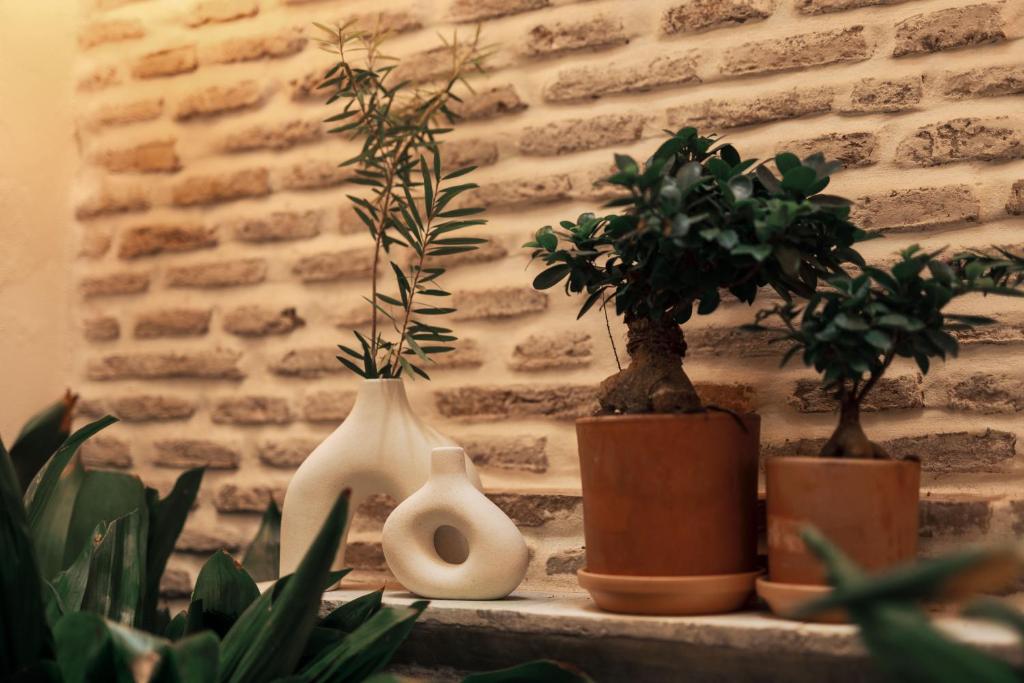 Hotel Boutique Escudo del Carmen - Resim 23