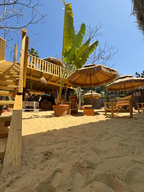 Fotografie z fotogalerie ubytování Surf lodge v destinaci Herzliya B