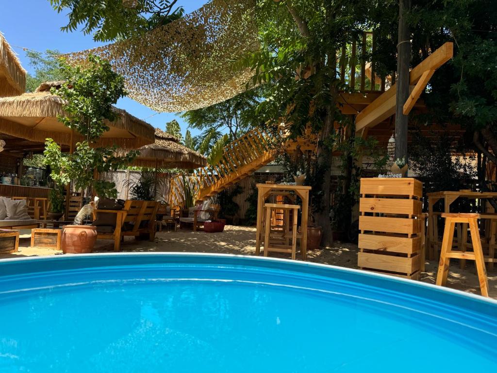 Bazén v ubytování Surf lodge nebo v jeho okolí
