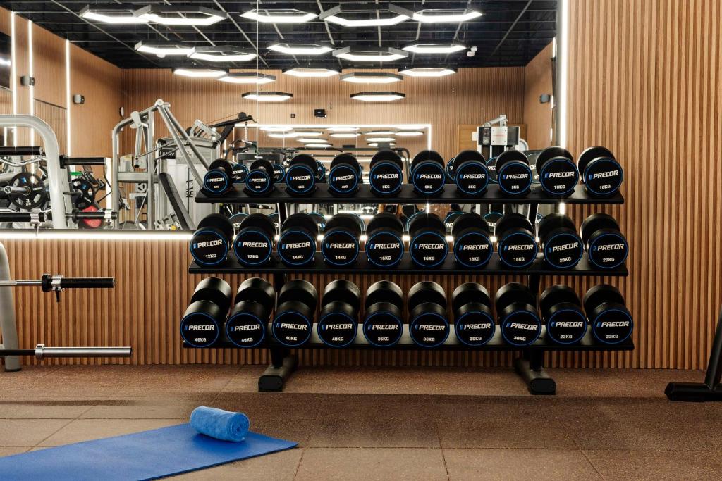 Palestra o centro fitness di Radisson Blu Hotel, Doha