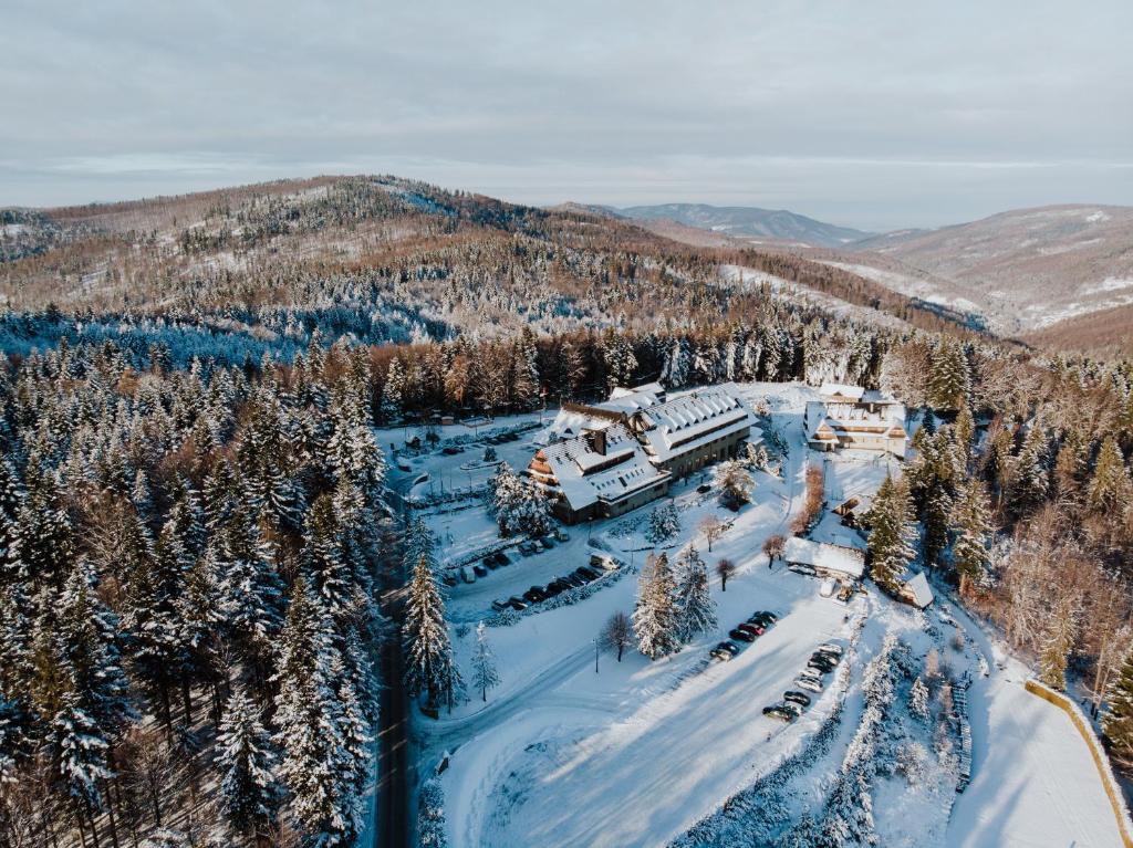 Przyroda w pobliżu tego hotelu