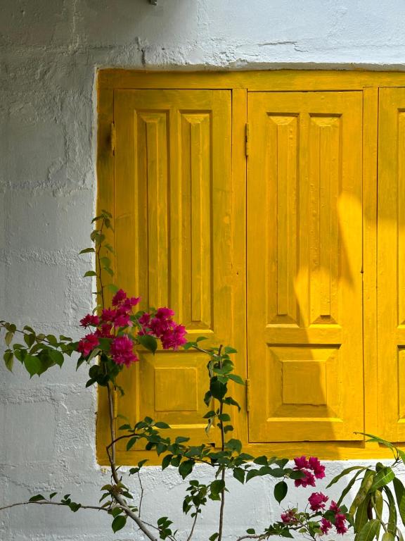 Fotografie z fotogalerie ubytování Mango Tree Villa v destinaci Unawatuna