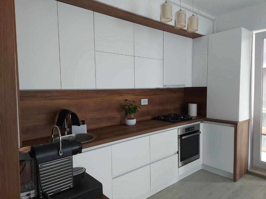 北马马亚-讷沃达里Alecos Apartment Spa&Resort的带白色橱柜和水槽的厨房